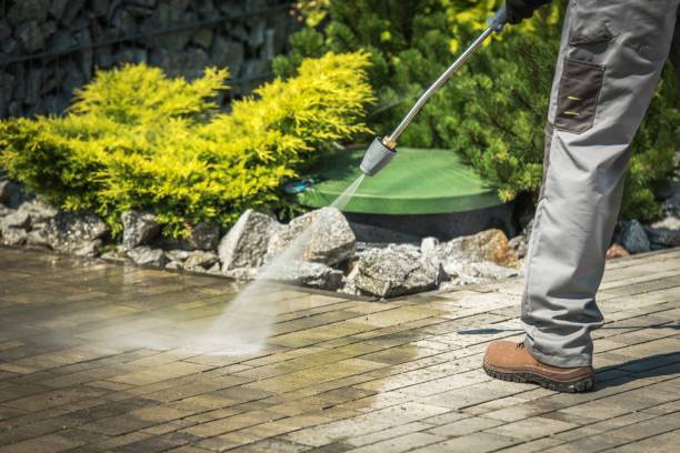Best Dumpster Area Cleaning  in Medford, MN